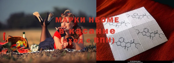 трава Ельня