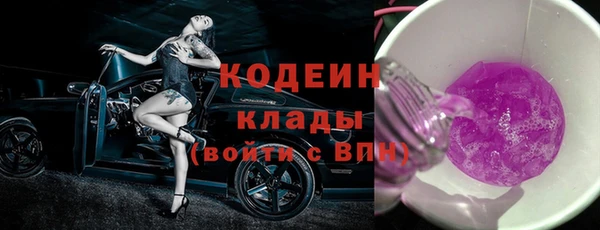 трава Ельня