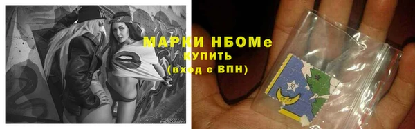 гидропоника Елабуга