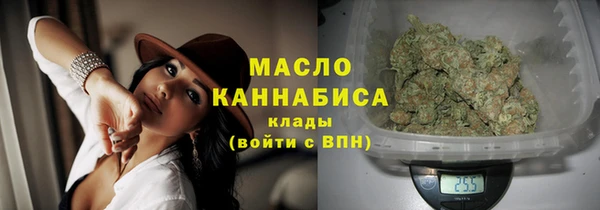 трава Ельня