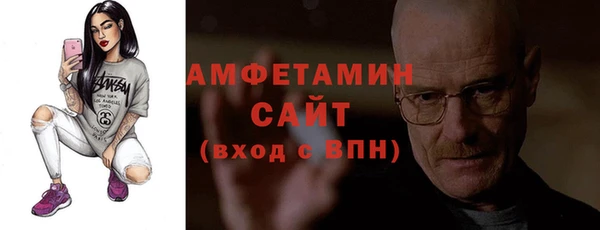 трава Ельня