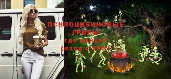 гидропоника Елабуга