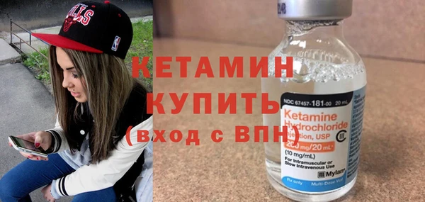 трава Ельня