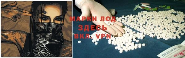 трава Ельня