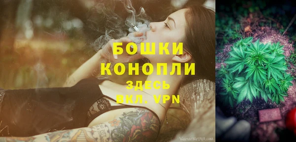 трава Ельня